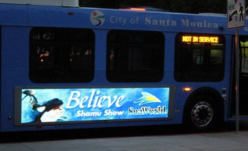 AVTA To Unveil First-Ever Digital Advertising Program On Transit Buses